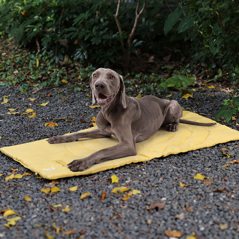 ポータブル折りたたみ式ペットマット,収納バッグ,ペット用品, - Outdoor Camping Dog Kennel のレビューと価格