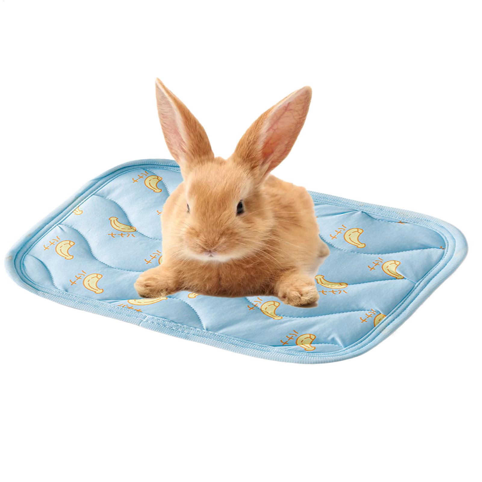 持ち運び可能な丈夫なペット用冷却マット、洗える小型動物用寝具 - Outdoor Camping Dog Kennel のレビューと価格